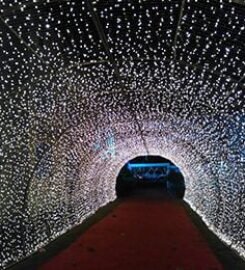 Raghav Power Systems