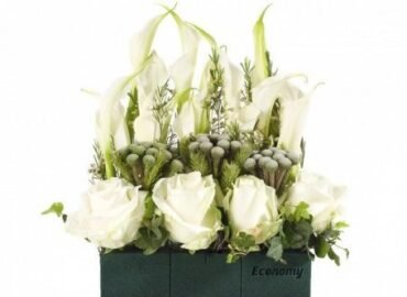 Vasisht Agencies Private Limited