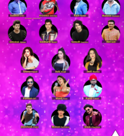 Purple Star Entertainment