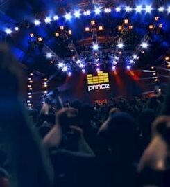 Prince Audio Visual LLC