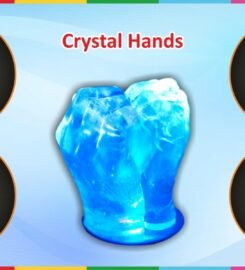 Wax Hand India