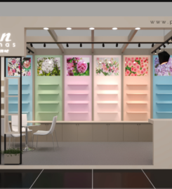 Pratik Shah | Designer