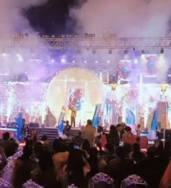 Vicky Light And Sound