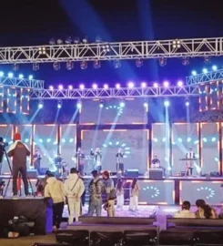 Vicky Light And Sound