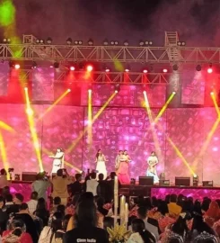 Vicky Light And Sound